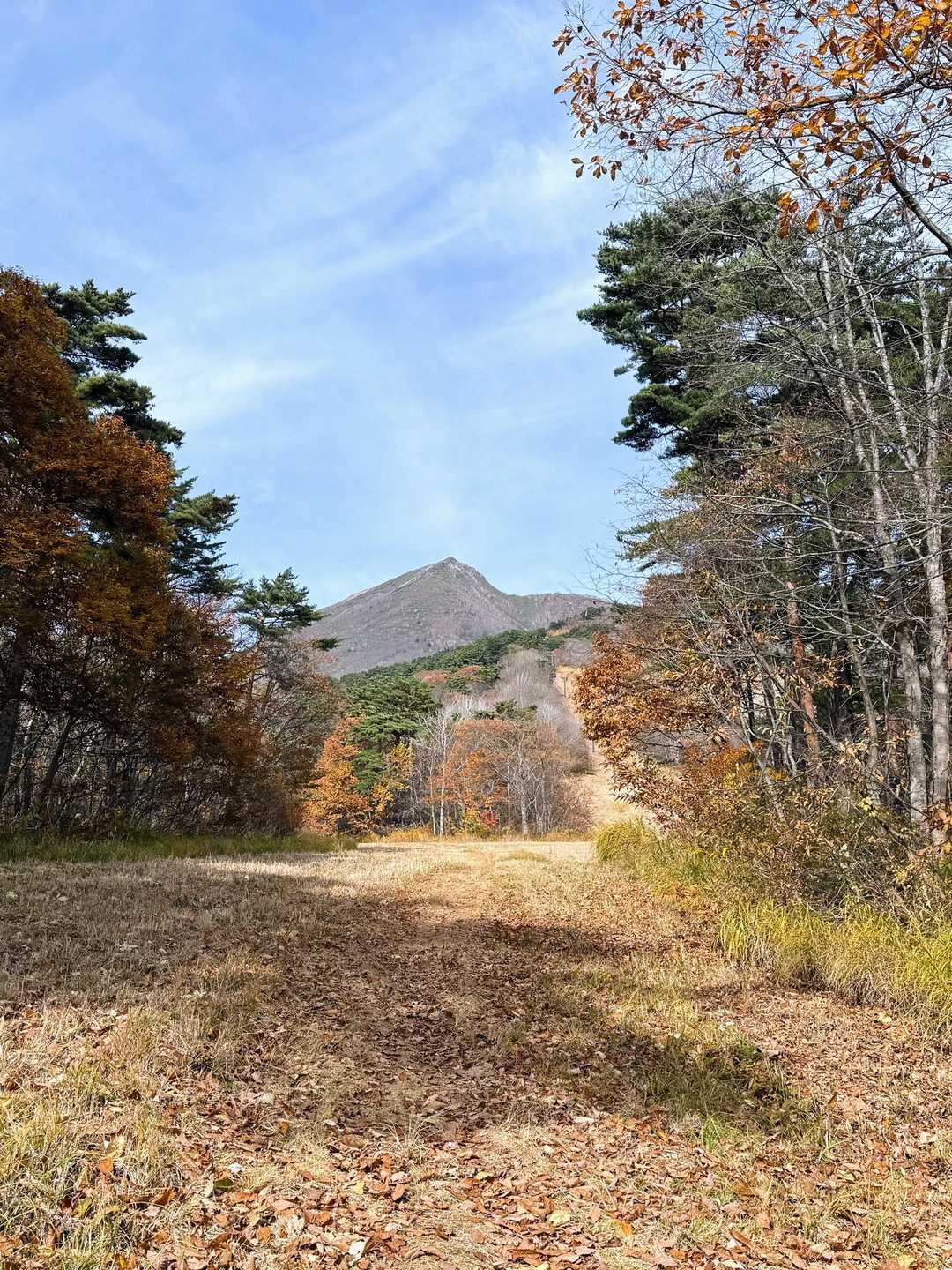 猪苗代登山口-赤埴山 往復コースの写真