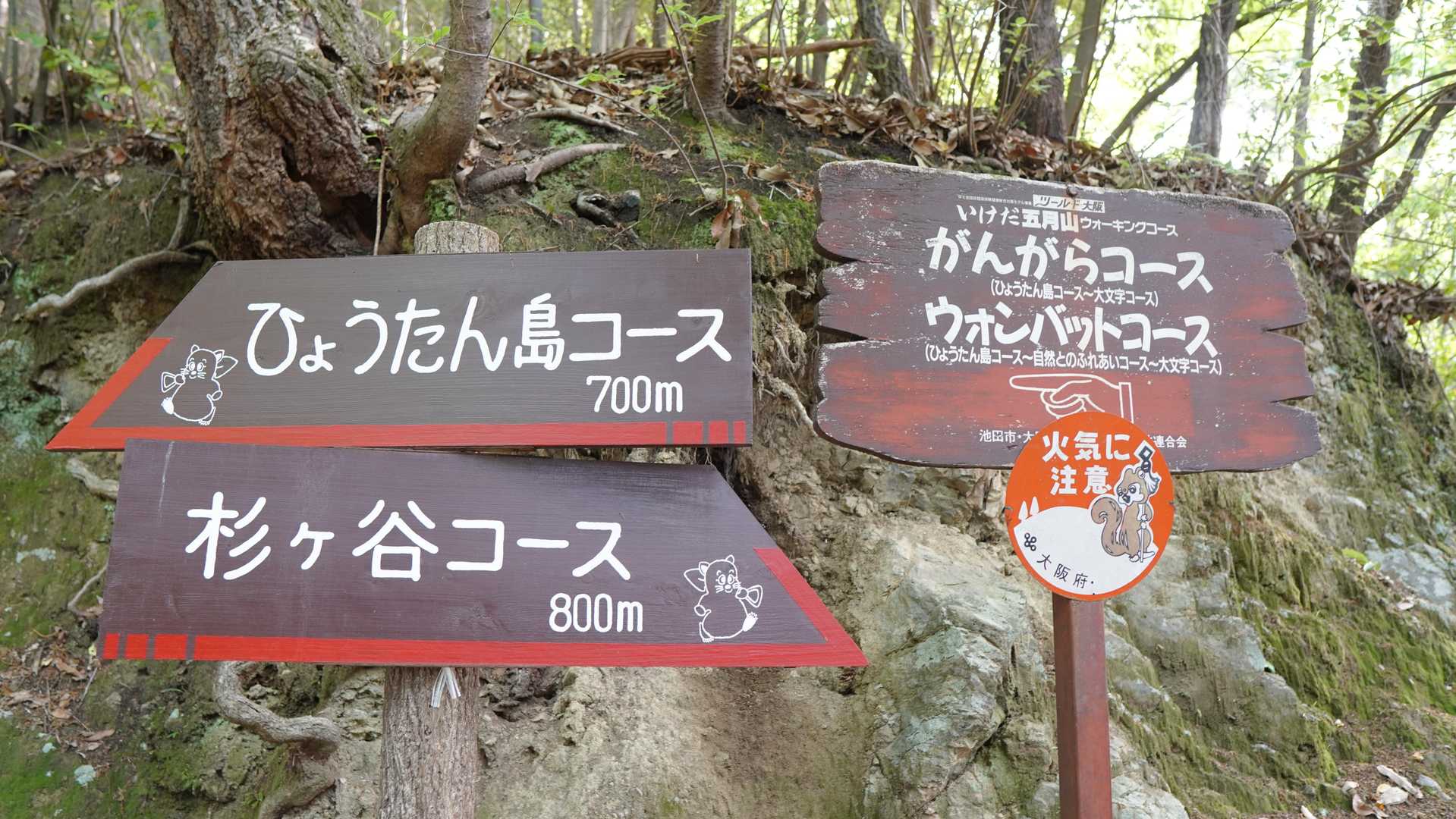 ひょうたん島コースで登ります。