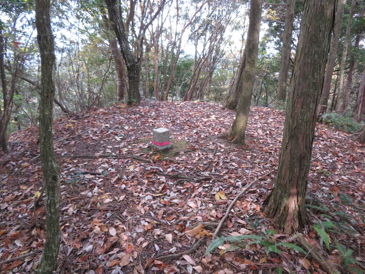 荒曾山(487m)山頂　展望ナシ