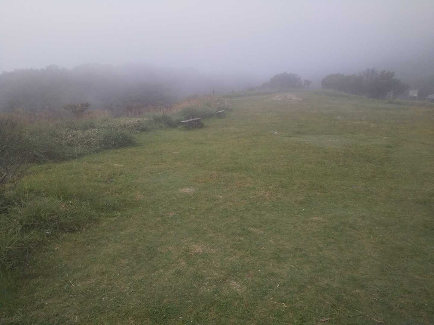 キャンプ場