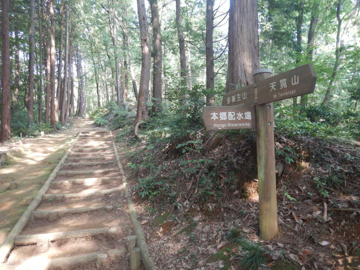 飯能駅-天覧山入口-天覧山-多峯主山-大黒山-多峯主山登山 縦走コースの写真