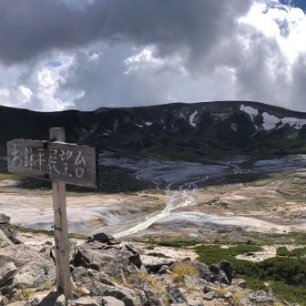 雲が陰をつくってる。ここはお花畑。もうほとんど終わってました。