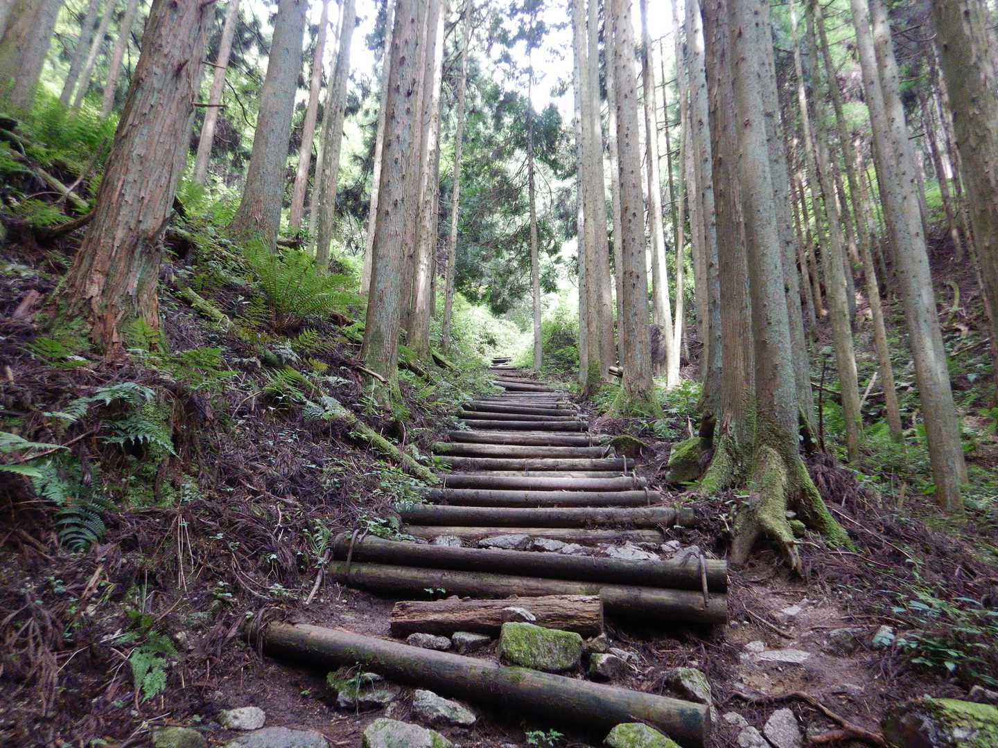 階段は長いです。