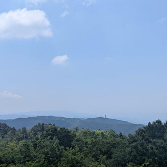 遠くに見える塔がゆたか茶屋付近。ここから１時間かからないらしい。ほんとかな😅