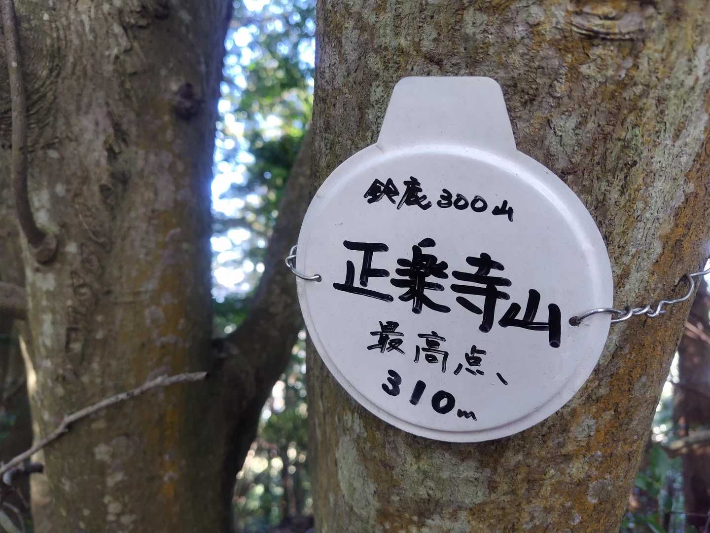 あった～、見慣れた標識😆👏
正楽寺山最高点に到着～👏
こちらが鈴鹿300山です。
ヤマップのピーク登録はないです。