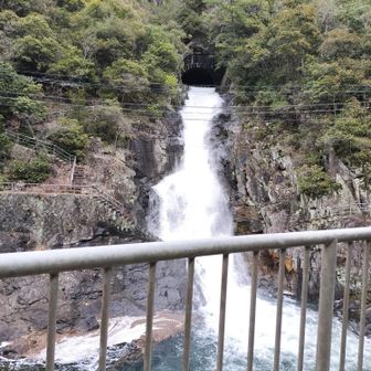 こちらからも😮