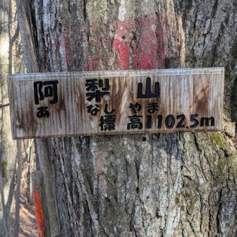 阿梨山(1102.5m)