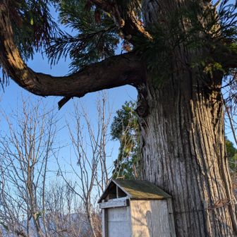 1つ目のピーク、一本杉登頂！
暑くてここでフリースとソフトシェルを脱ぎ、半袖になる🤣
みんなは長袖…。
トールマンさんは、まだ寒いって言ってるし…細マッチョは、寒がりらしい😅