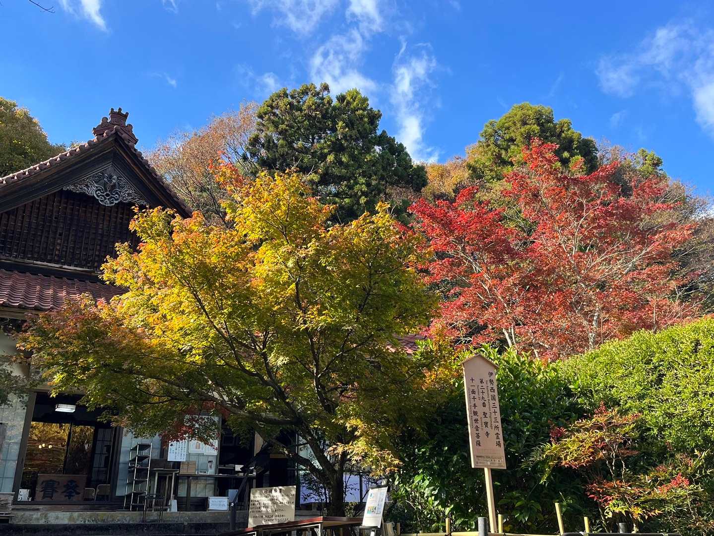 いい光が射し込んで☀️
今日のベストショットはこれに決まり🙌