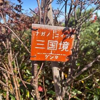 白砂山山頂から割とすぐなのでせっかくなら行ってみてほしい