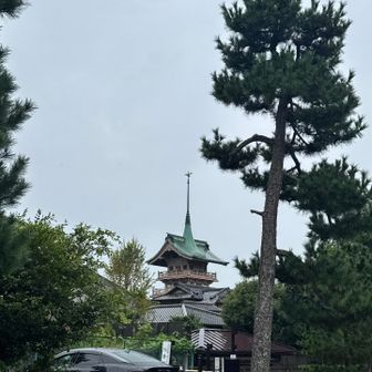 いつも気になる建物
大雲院の祇園閣