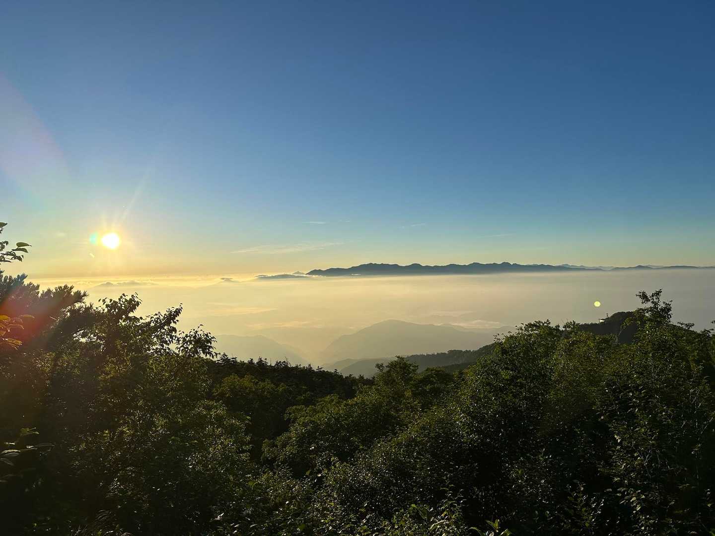 太陽が出て来ました。