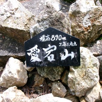 少し先の三角点まで足を伸ばした