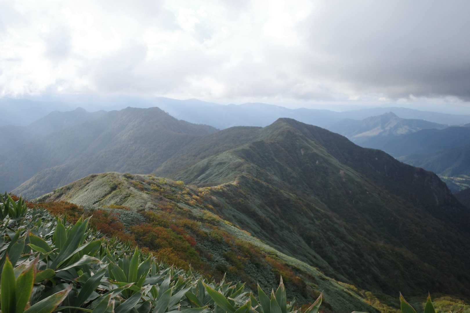分岐