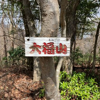 大福山山頂到着