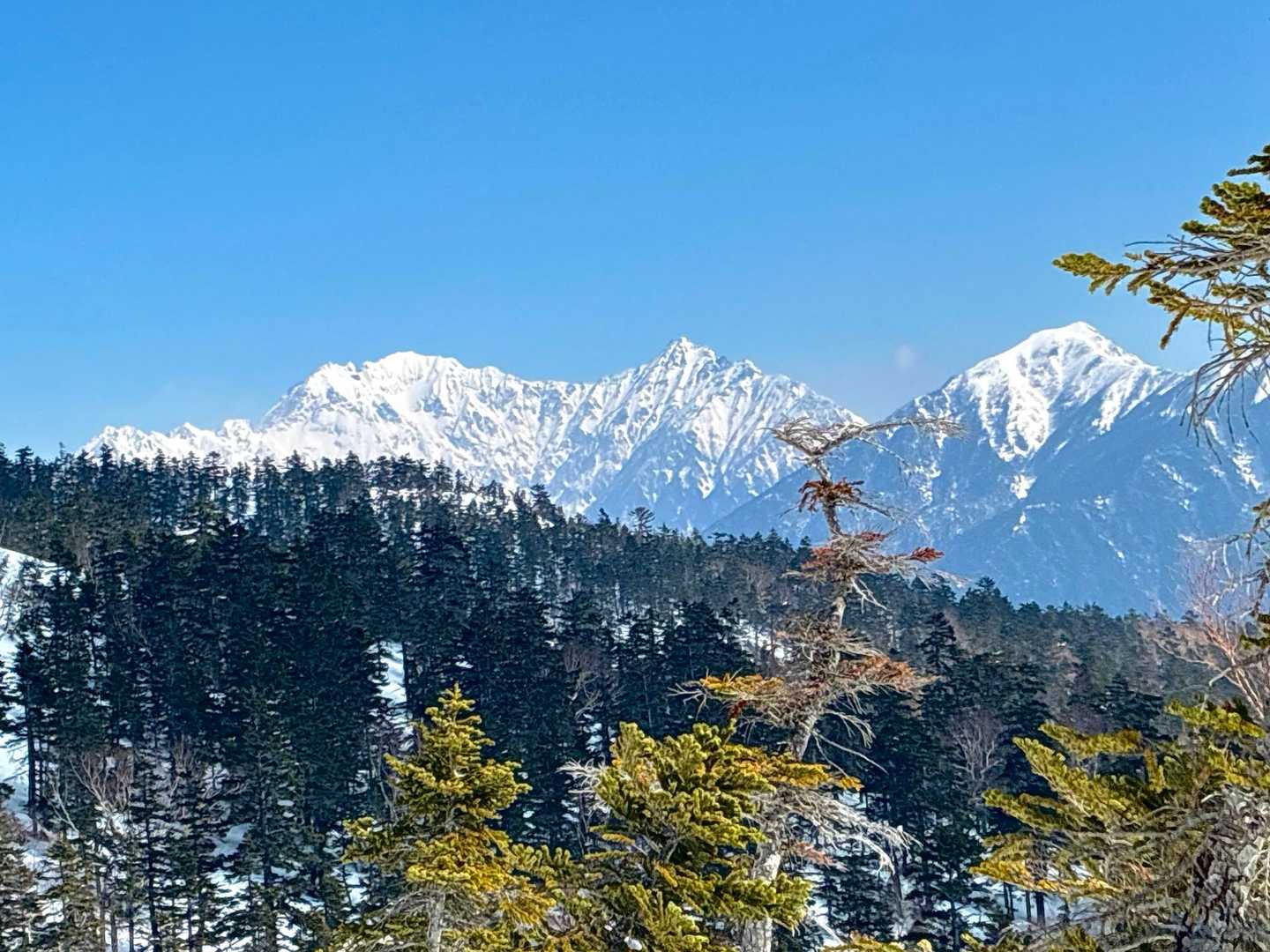 十石山 往復コースの写真