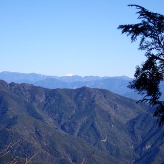 富士山もみえたー🗻