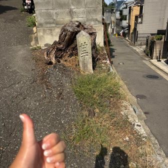 そんな訳で◎

本日もご無事で👏

真夏の登山はきついッッ😇💥
いいトレーニングになりました🏋️‍♀️
