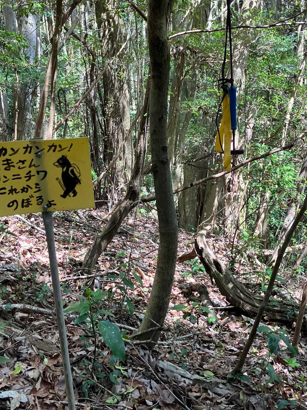 お約束の🐻さんへ
🔔🔨カンカンカン🔨
