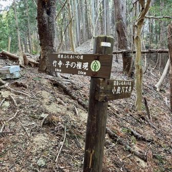 ここで関東ふれあいの道に合流🙂
ここまで会ったのはトレランさん1人だけ。
ここからはたくさんのハイカー🎒とすれ違いました。