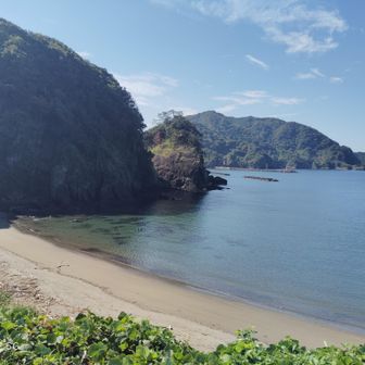 海に
