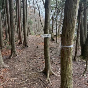 バス停への案内分岐。ここら辺は歩きやすくて好き😊