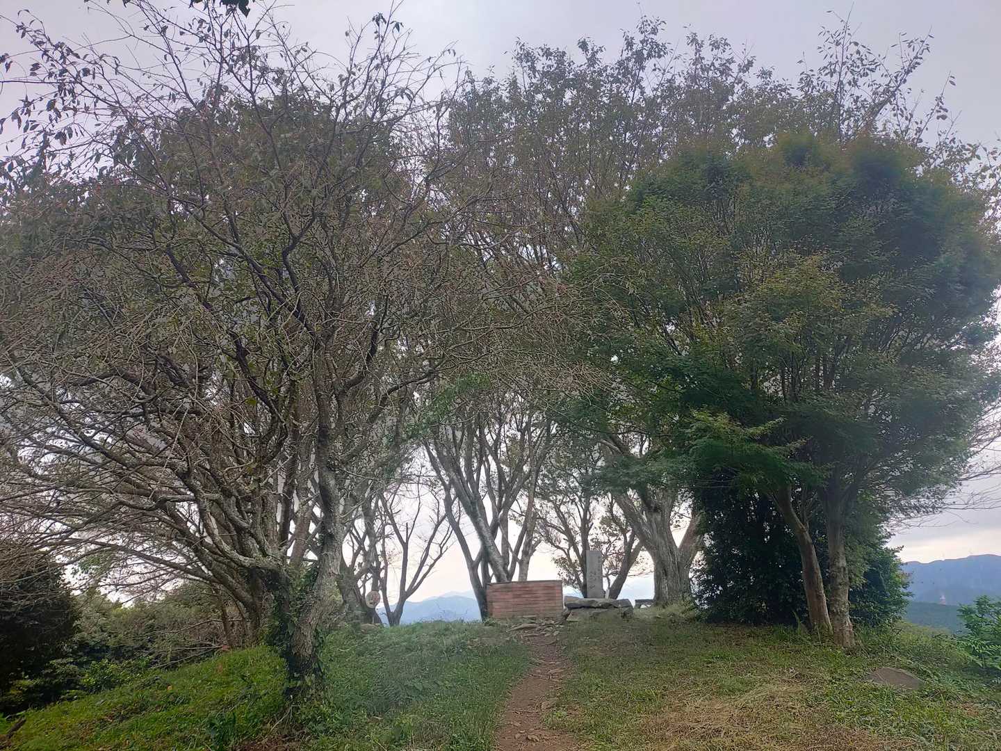 あっという間に山頂