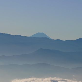 ふじちゃま見えてる🤩