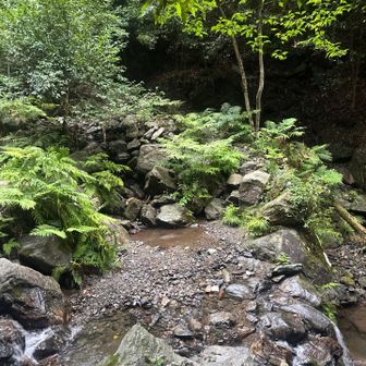 渡渉あり