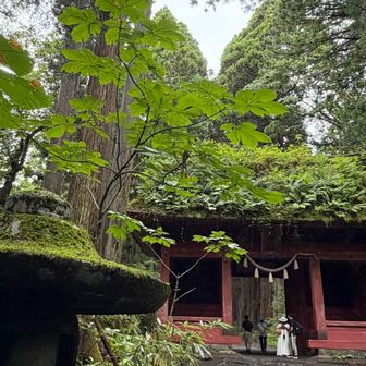 髄神門
ウチのせっかちO型コンビは途中の写真も一切撮らず進んで行きます

