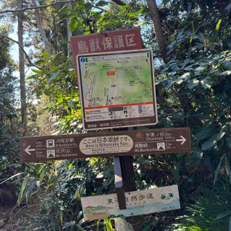 日本坂峠。
駐車場まで帰ります。