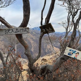 看板たくさんある