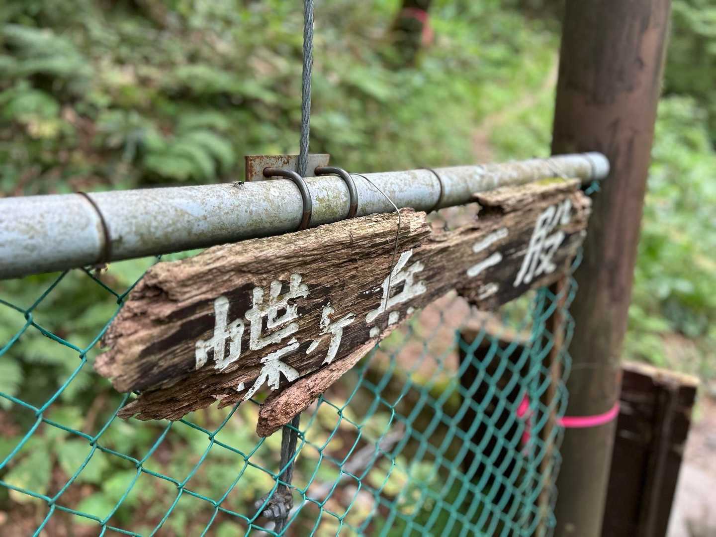 行って来ま〜す🏃‍♀️