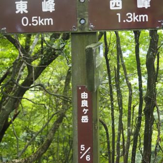 暑い暑い
やっと、やっと分岐に到着
きつかったぁ
みんなフラフラです