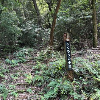 ふくろうの小道を通って分岐点へ戻る