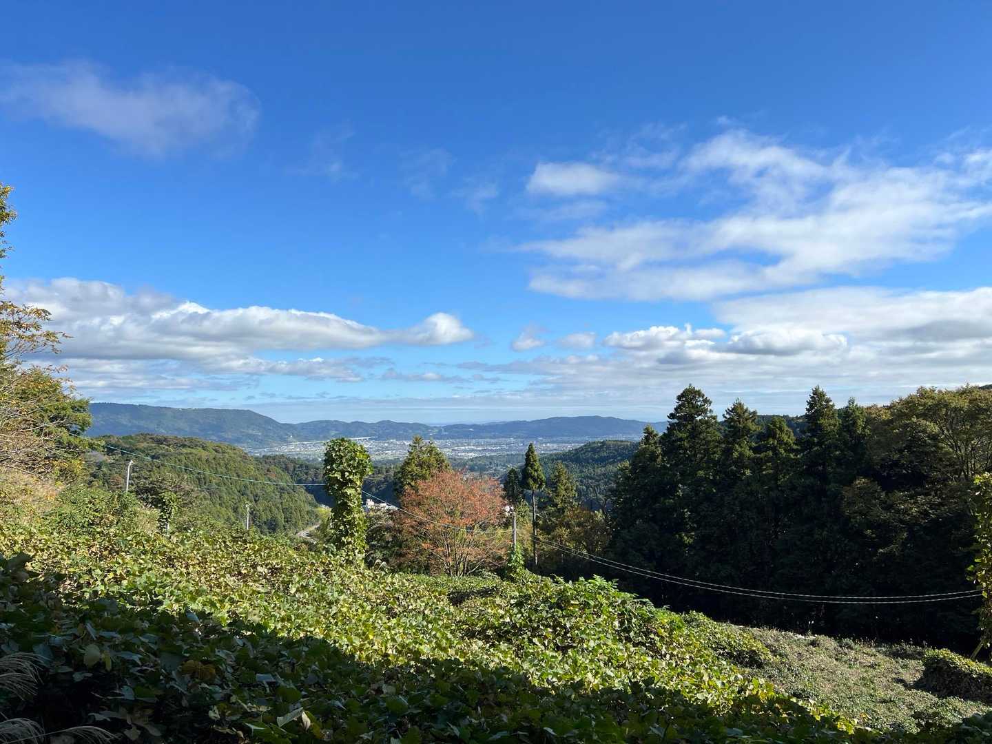 矢倉沢バス停-矢倉沢登山口-矢倉岳-清水越-地蔵堂バス停 縦走コースの写真