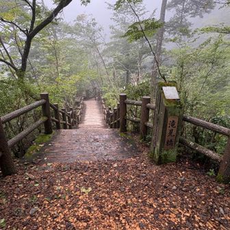 滝見橋
木道濡れてヌルッと滑りやすい注意