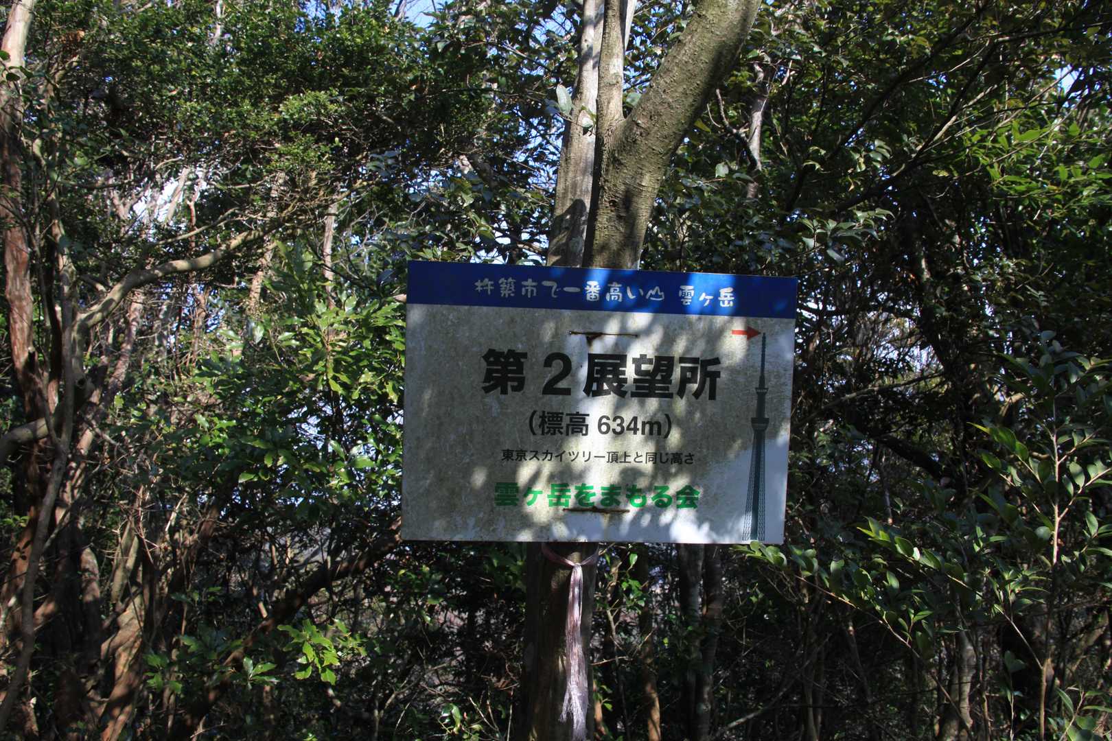 東京スカイツリーと同じ高さらしい