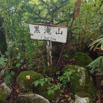 黒滝山山頂