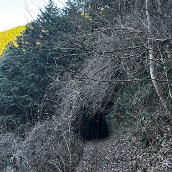 トンネル！？😳