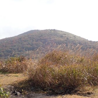 道後山が見える〜