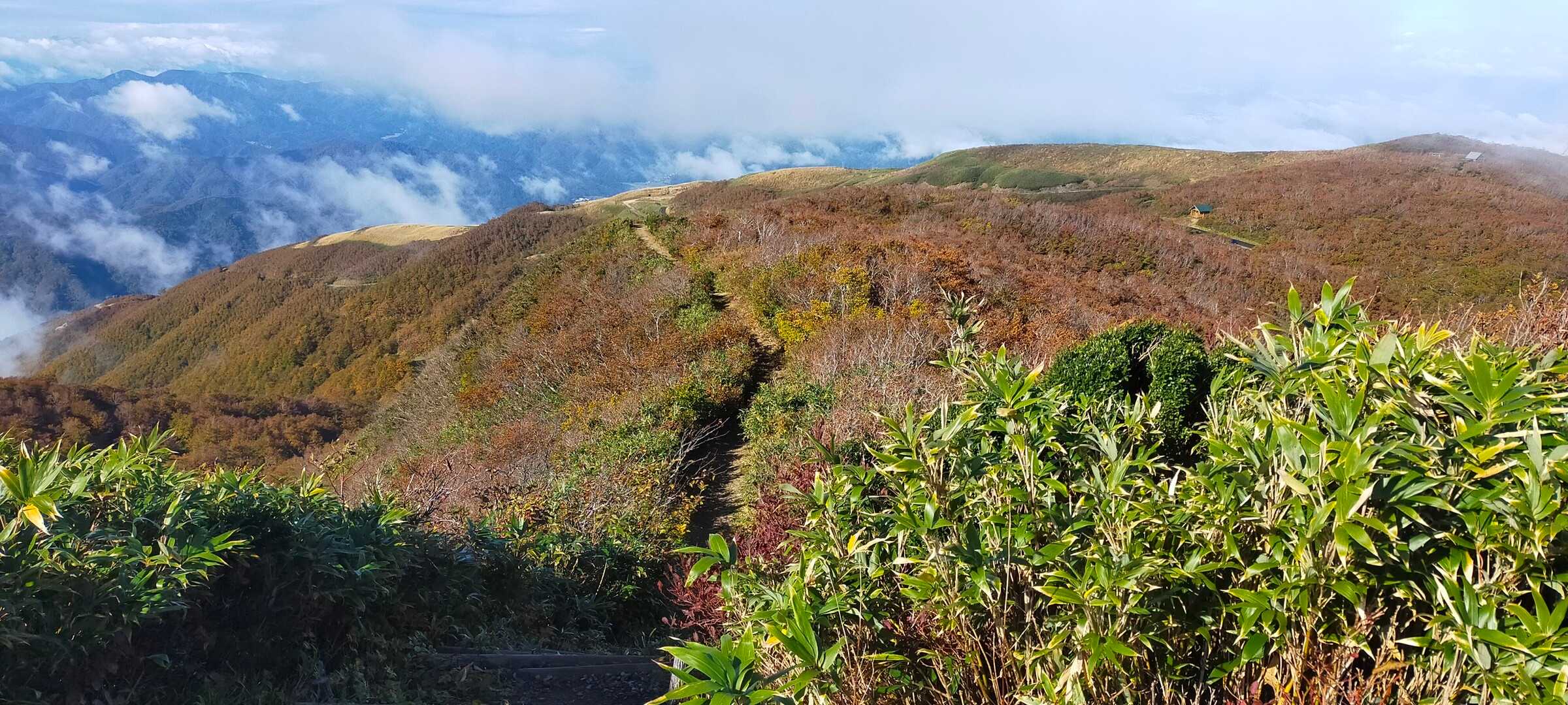 部子山の写真