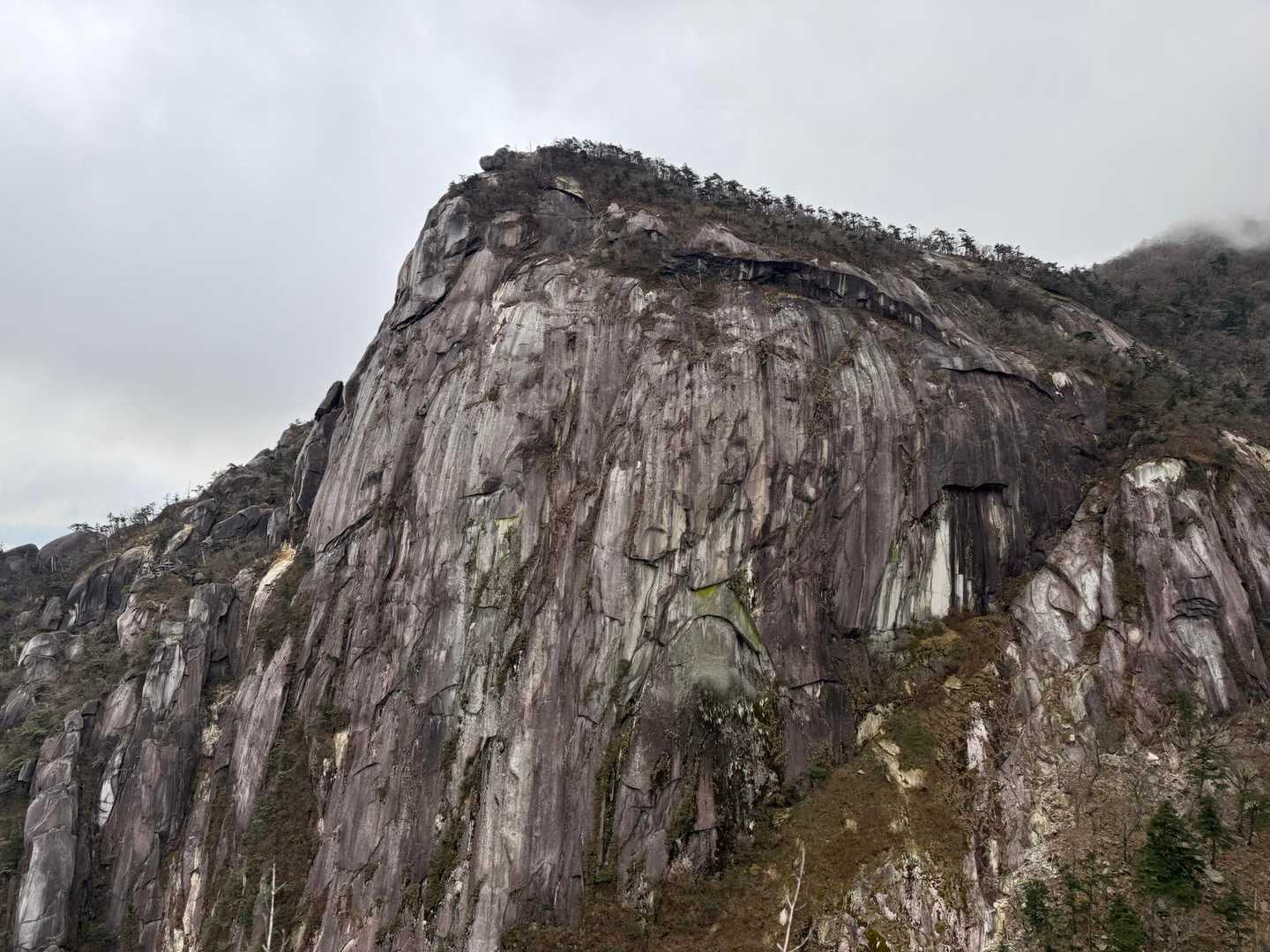 坊主尾根コース | ハシゴ・鎖場多数。九州最後の秘境と呼ばれる大崩山への写真