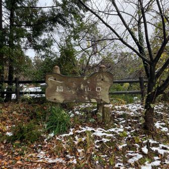 さっきまで雨が当たっていましたが気にせずスタートします。