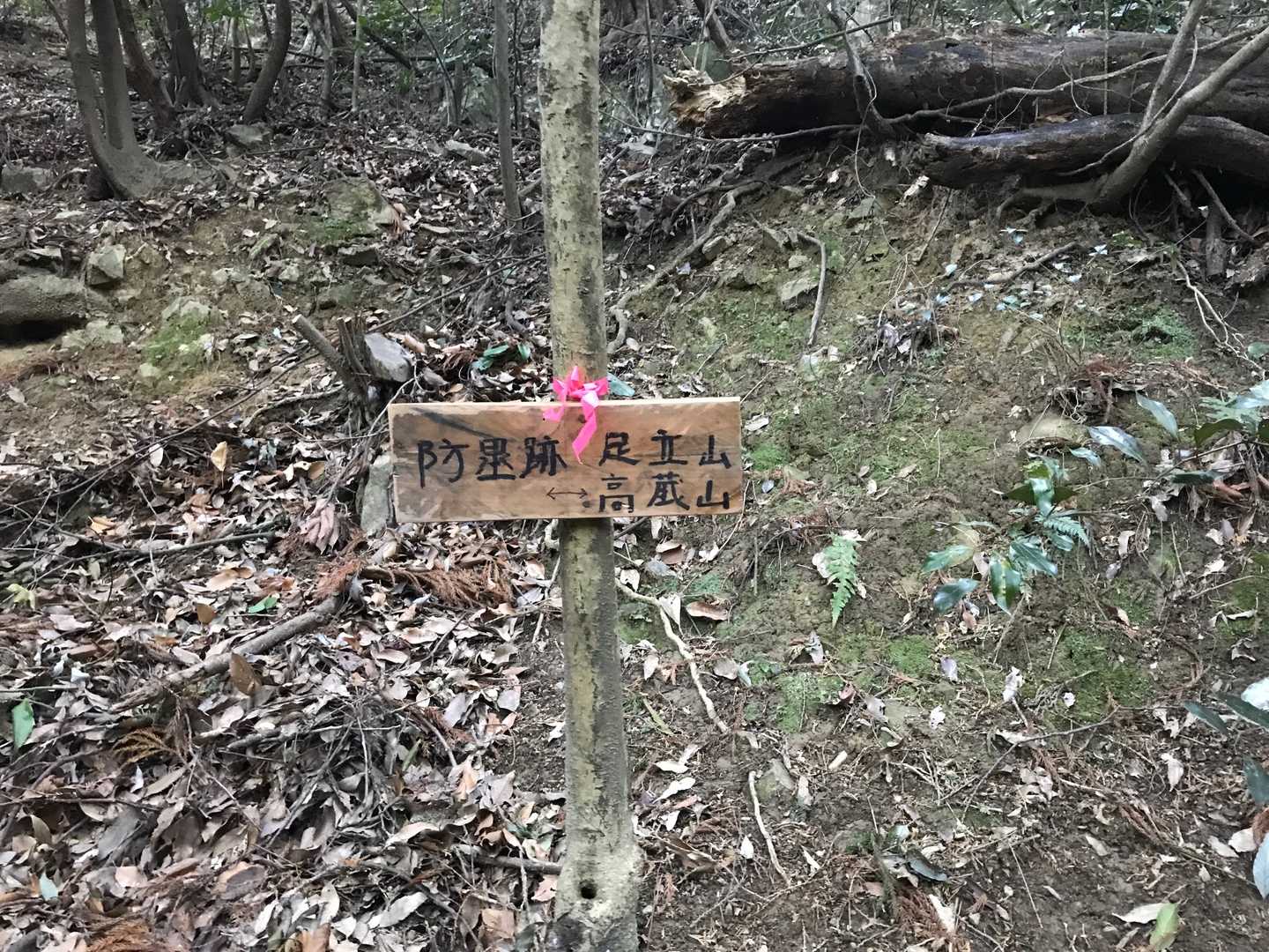 高蔵山 往復コースの写真