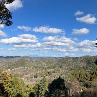 見晴らしキレイは広場に出ます