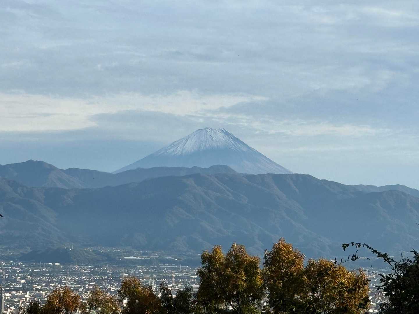 さらっと雪化粧してました