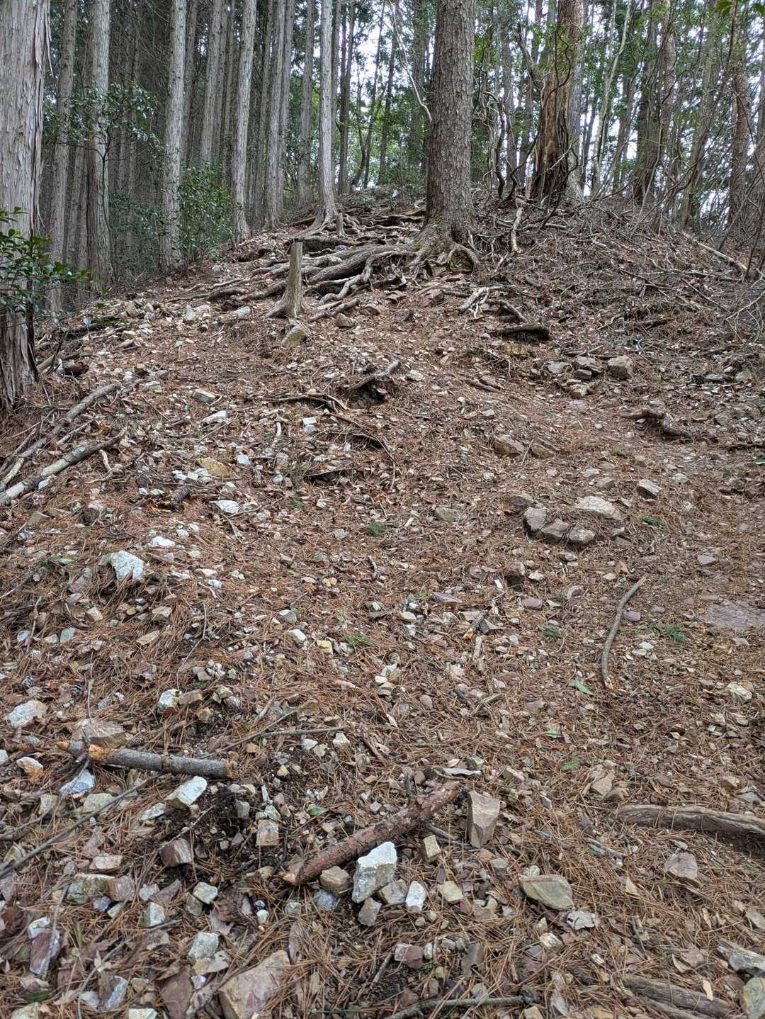 登山道。