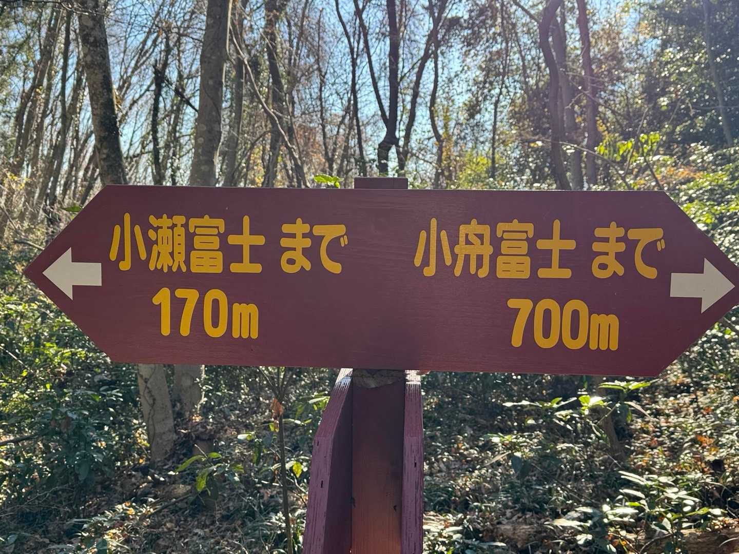 富士とつく山は全国に最低でも340座以上あるらしい。ここだけでも２座、看板にも芳賀富士ともあった。みんなに親しまれているんですね！