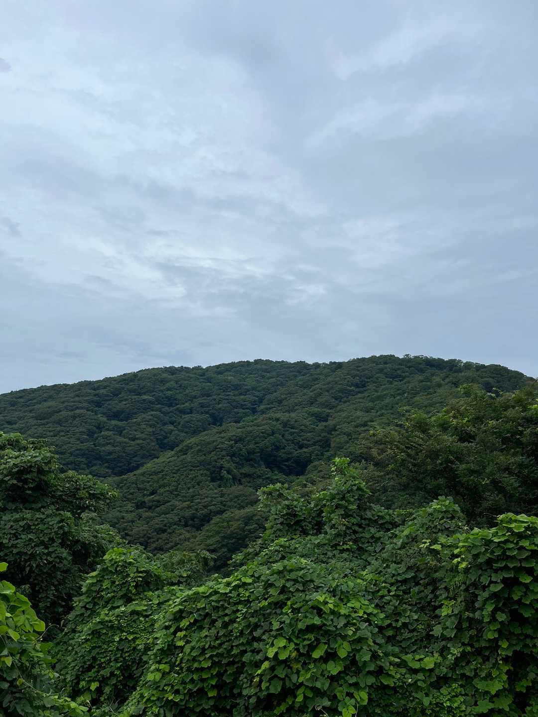 これから登る荒倉山